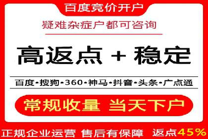 解析某某SEM服务公司的广告投放策略与效果评估